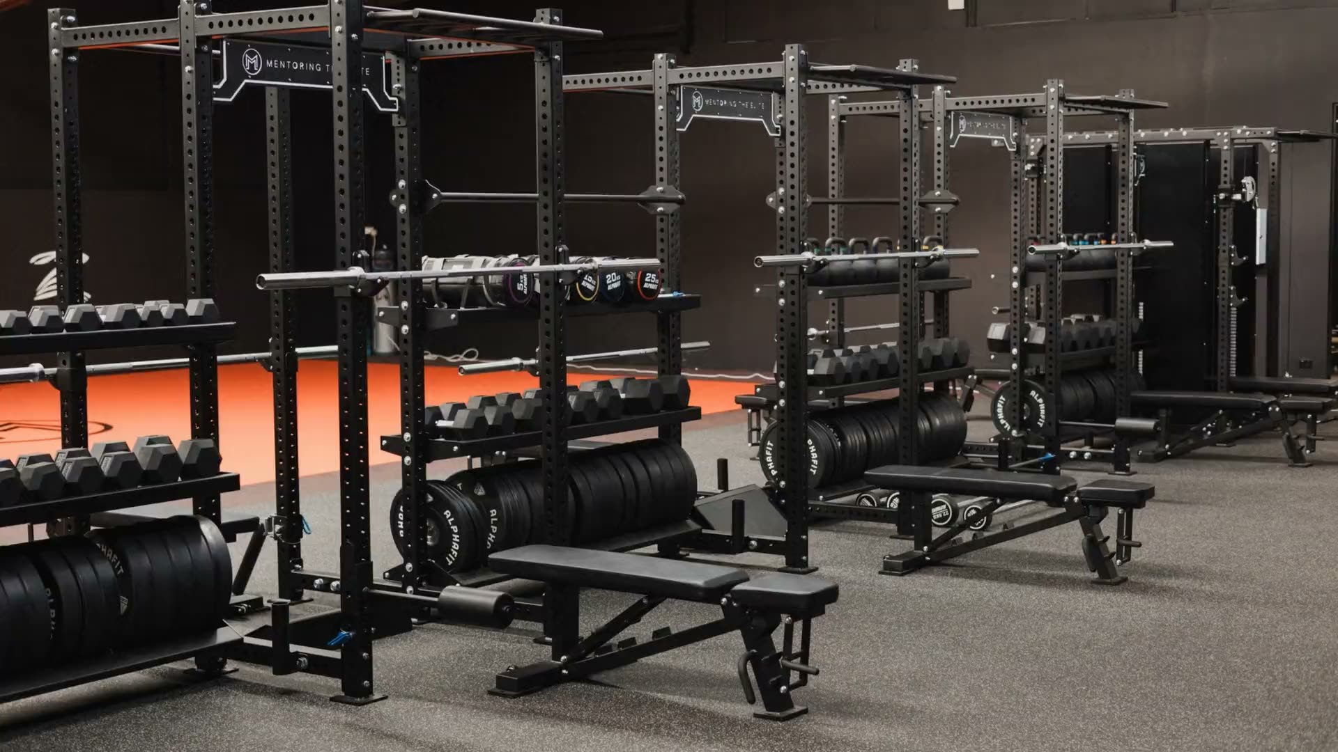 The rigs